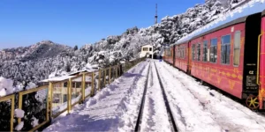 Shimla & Manali